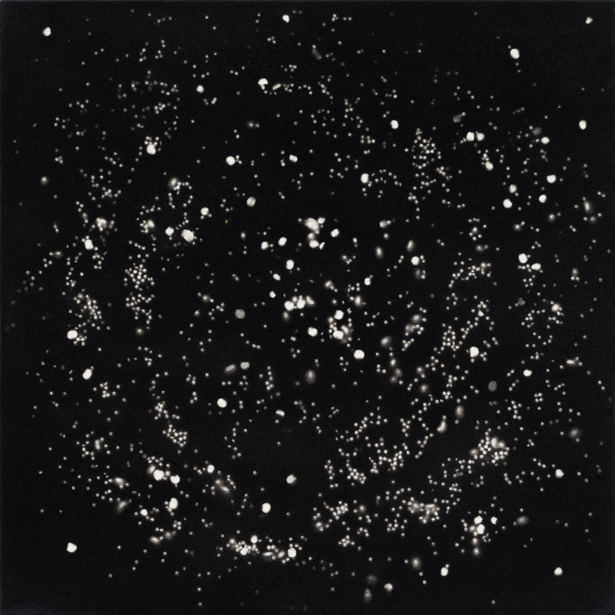 Love in Outer Space by RASHID JOHNSON