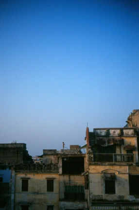 Kid & Kite by Gabriel Orozco