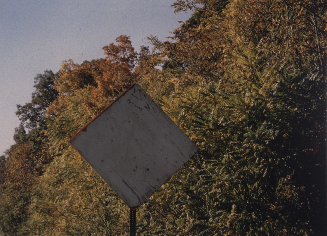 Road Sign by Rachel Harrison