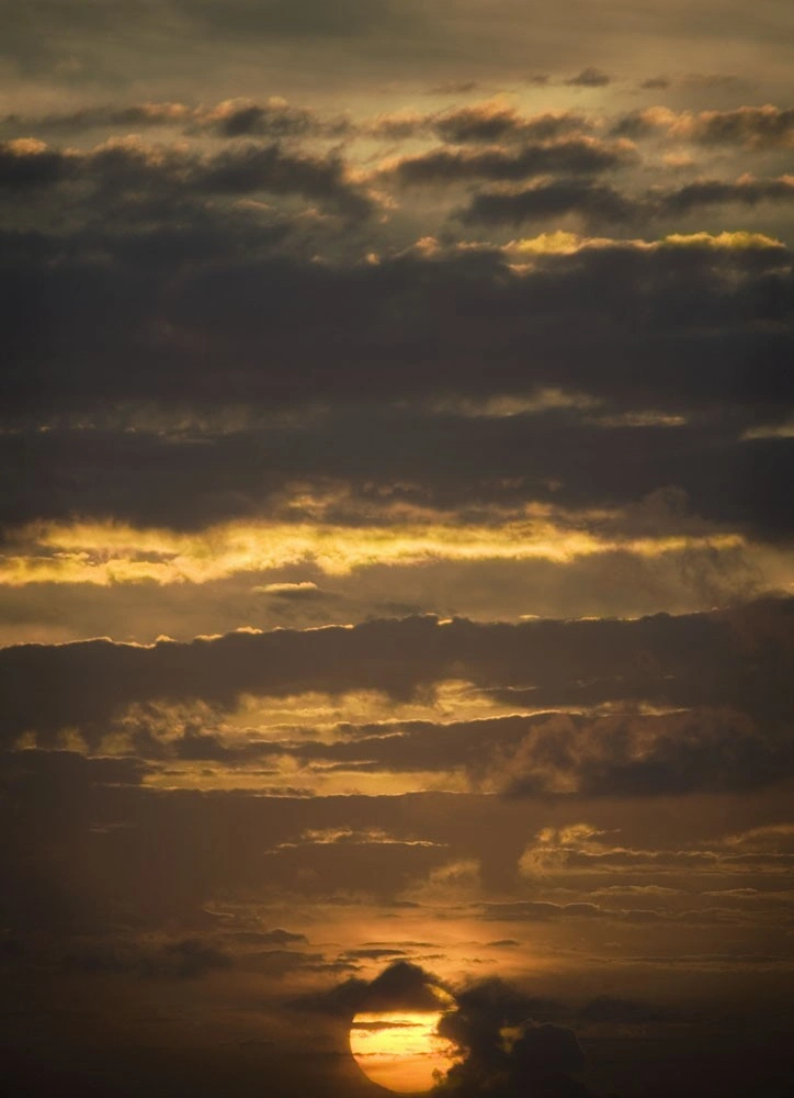 Sunset #2 by Roe Ethridge