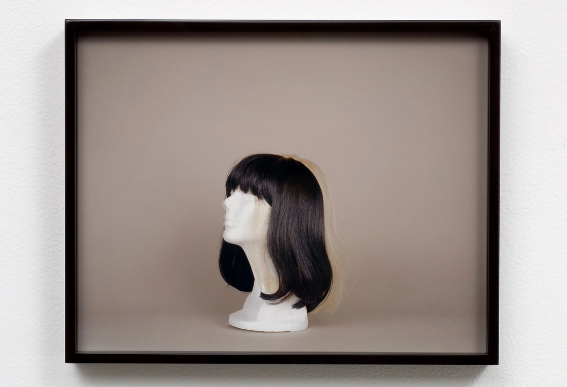 Three Variations on a Bob (Asian Black) by Elad Lassry