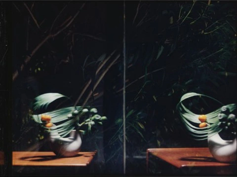 Untitled by Sharon Lockhart