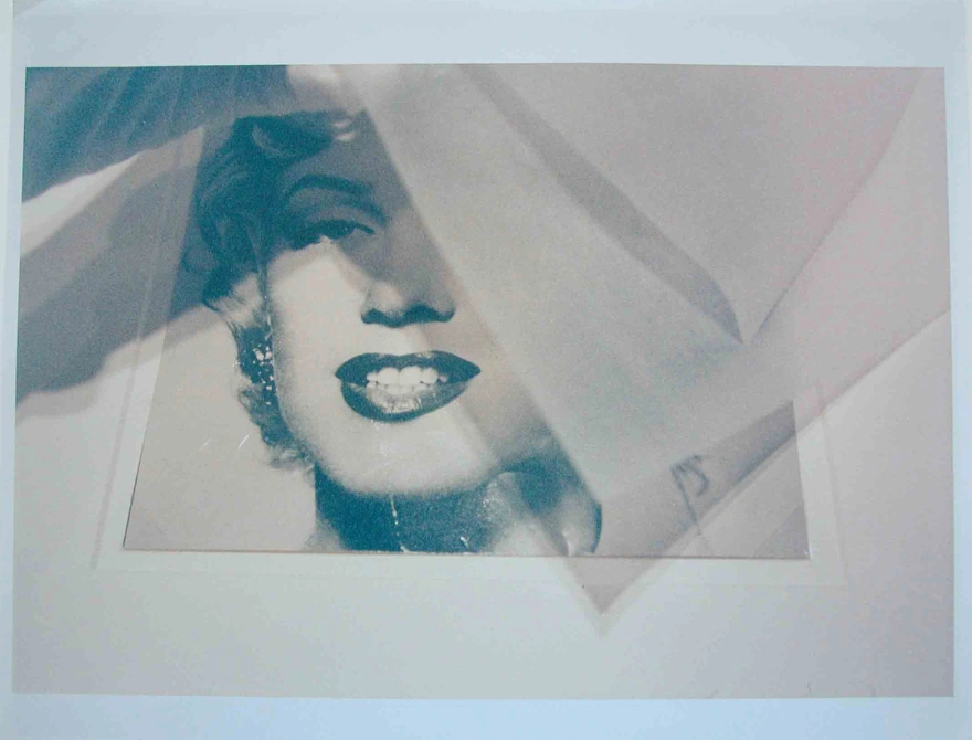 Rachel Harrison Untitled 3 by Rachel Harrison