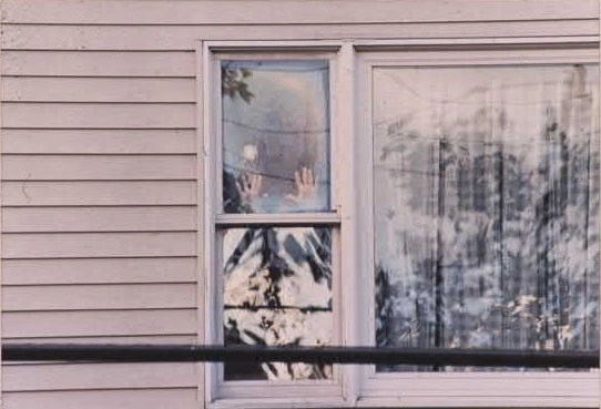 Rachel Harrison Untitled (Perth Amboy Series) “Two Hands with White Rose” by Rachel Harrison