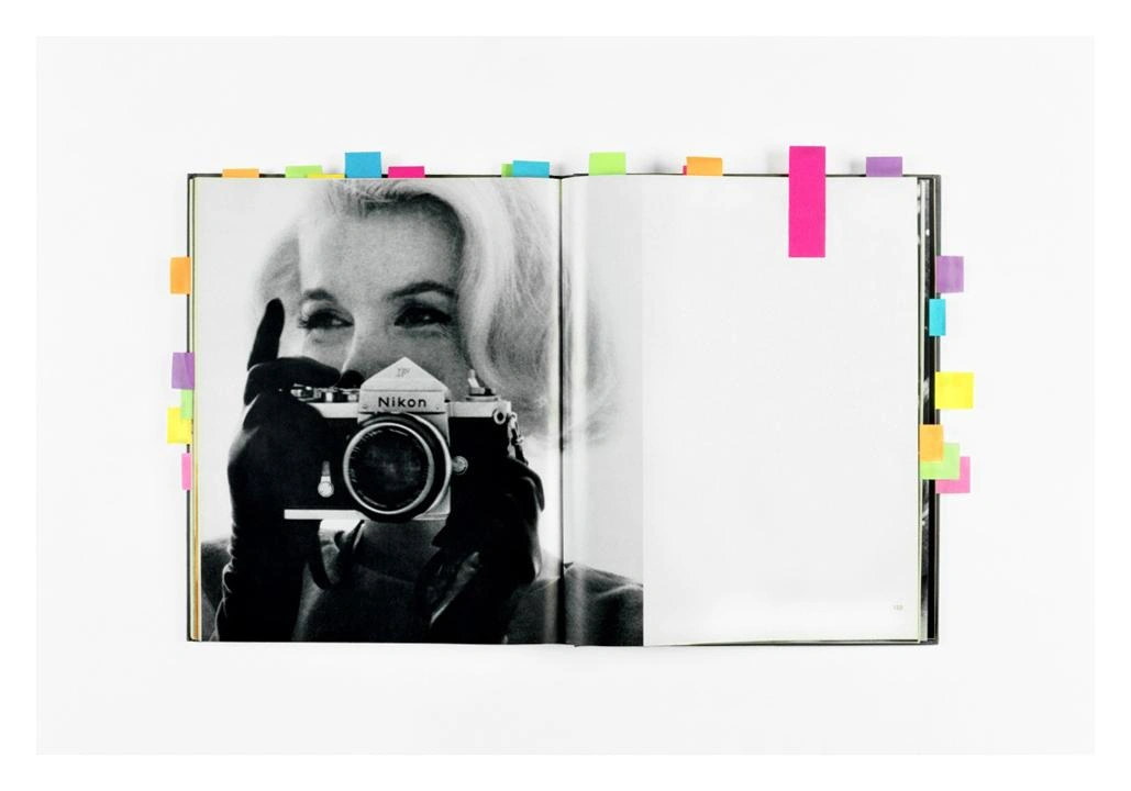 Woman with a Camera (Last Sitting, Bert Stern) by Anne Collier