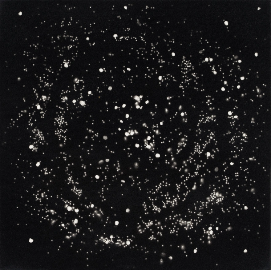 Love in Outer Space by Rashid Johnson