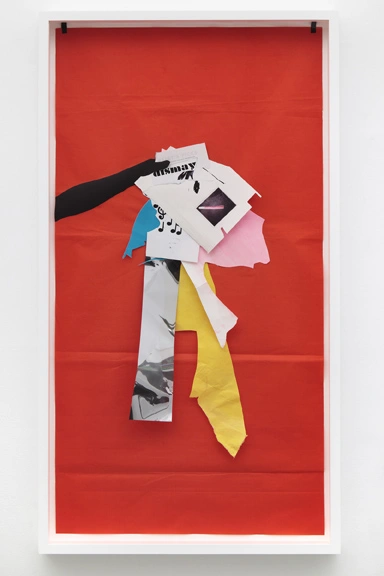 I Went Through My Bin Yet Again by Frances Stark