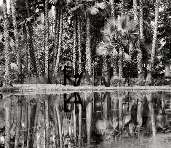 Raw War by Shannon Ebner