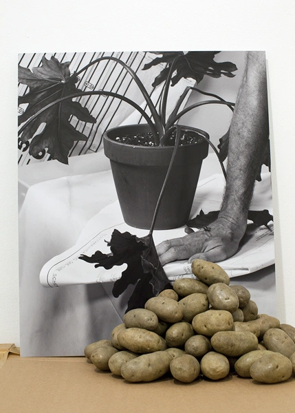 Margaret Lee, Untitled (Michele Abeles) by Margaret Lee