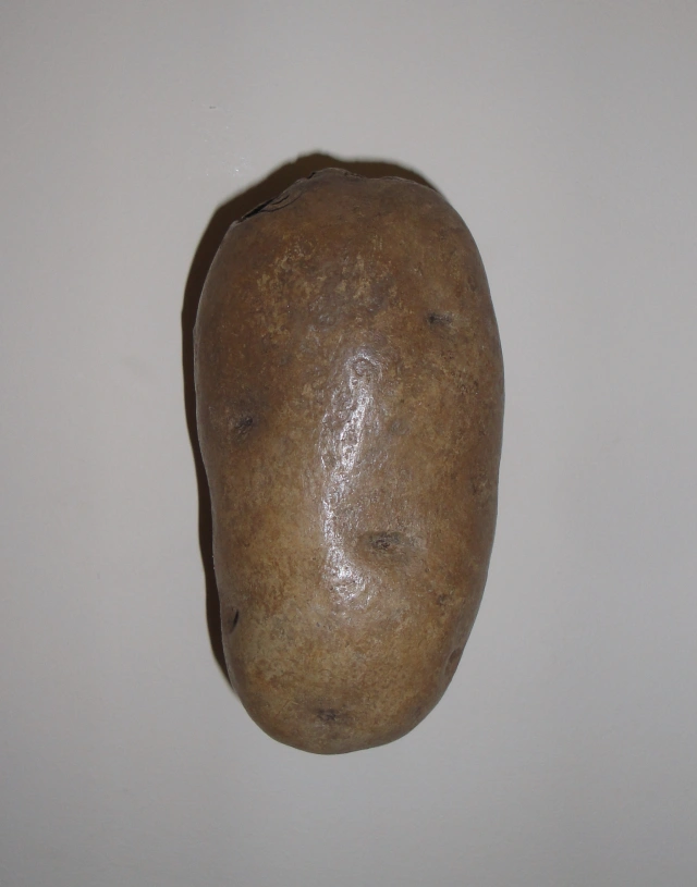Potato by Margaret Lee